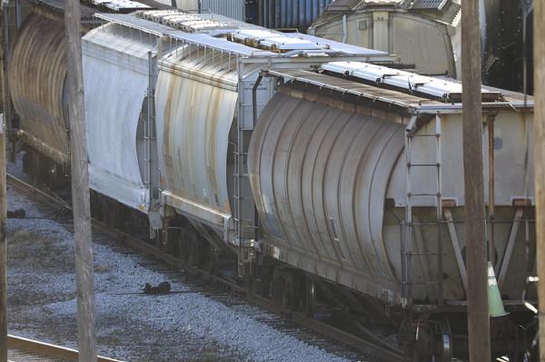 绵阳市到阿联酋迪拜快速公司合作