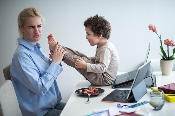 宁波嘉鸿港联国际物流有限公司部分公开资料