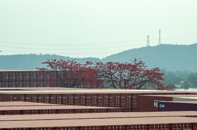 广州市米蒂物流有限公司