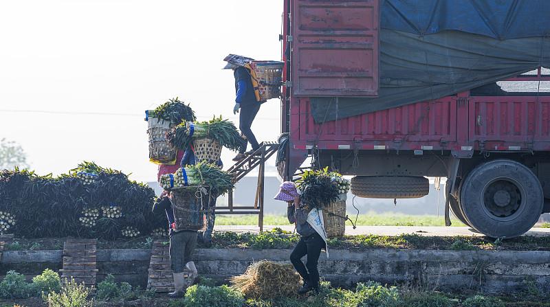 惠州市发送土耳其伊斯坦布尔地区国际贸易物流速递讲解