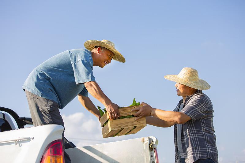 潍坊市运输到南非德班境外工厂货运代理讲解